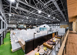 寫字樓裝修設計適合擺放哪些植物？